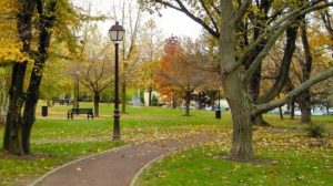 Днепр_Парк Гагарина