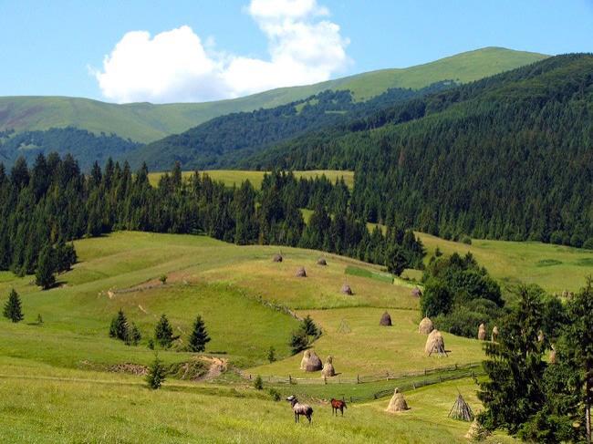  природный парк «Гуцульщина»