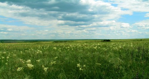 Луганский Природный Заповедник