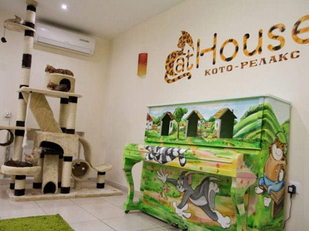 Cat House, Днепр