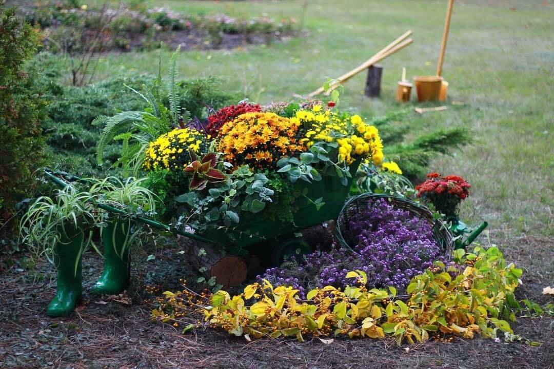 Ботанічний сад Дніпра