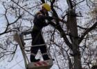 На Дніпропетровщині після негоди відновили електропостачання для понад 98 тисяч осель
